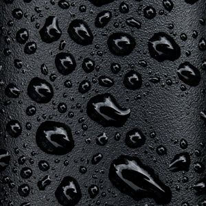 Meet your Posher, Kiara